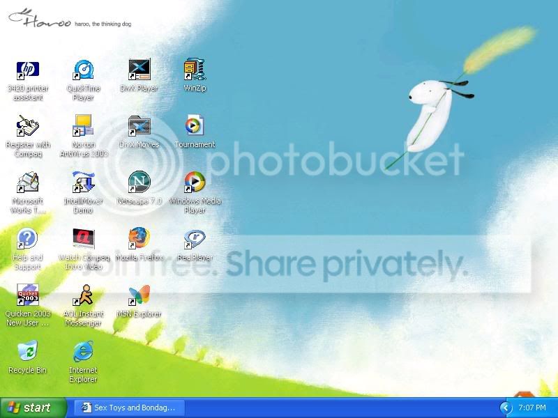 User Image